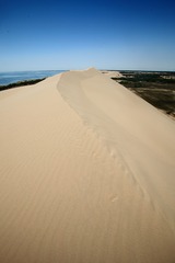 IMG_5934_