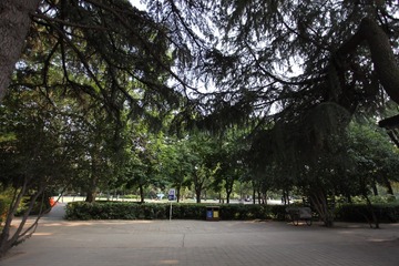 596758