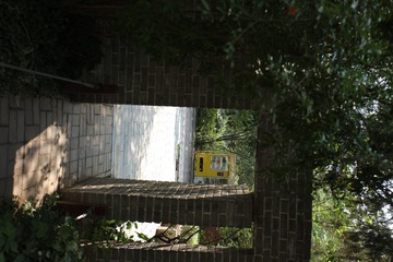 596419