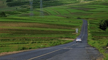 DSC_2199_1