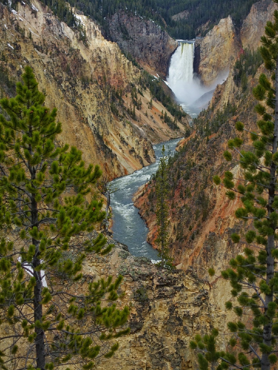 美国黄石公园大峡谷