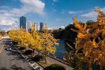 IMGP4108_