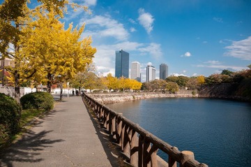 IMGP4118_