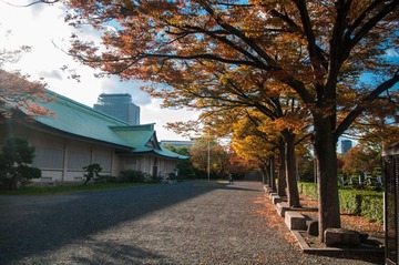 IMGP4159_