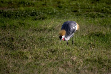 IMGP4340_