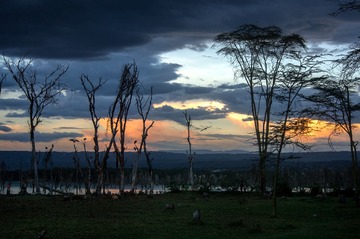 IMGP5044_