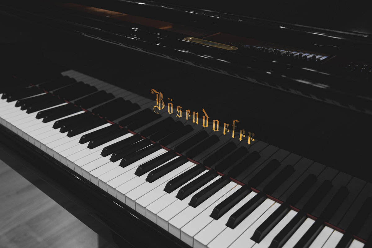 bsendorfer model 290 imperial grand 贝森朵夫290帝王型音乐会三角