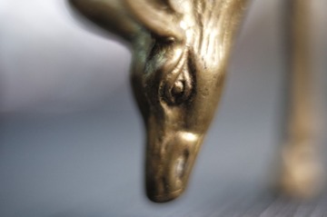 L1000436