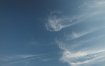 L1000489