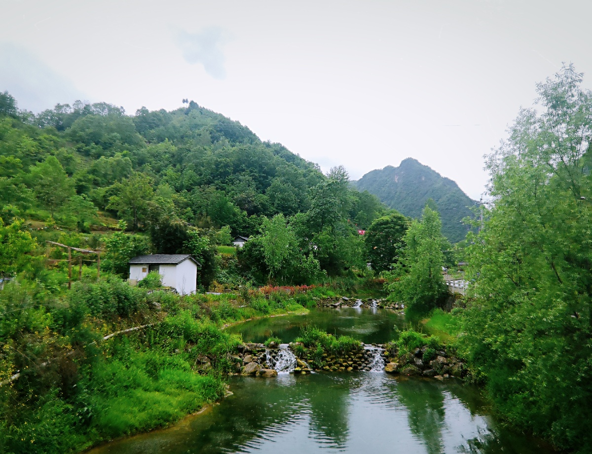 康县大水沟 小桥流水