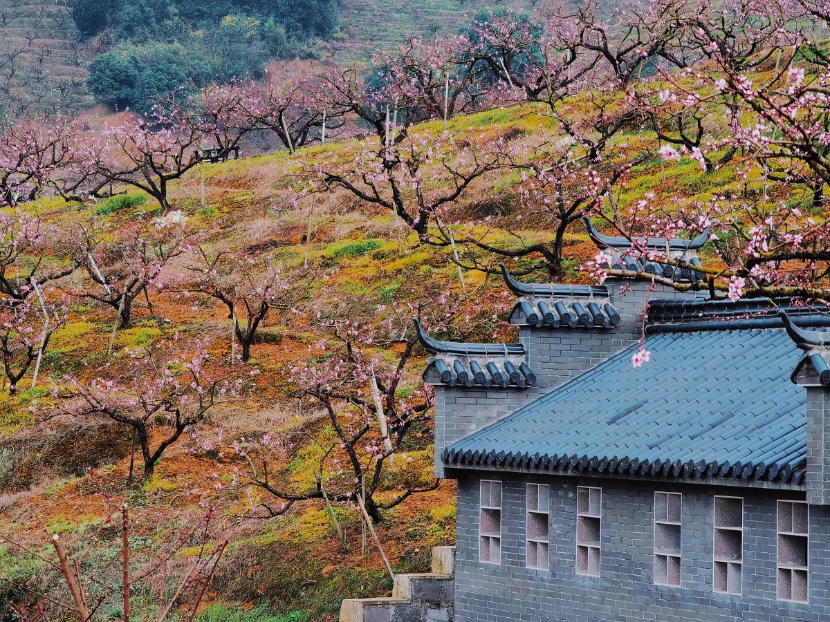 奉化天下第一桃源林家村