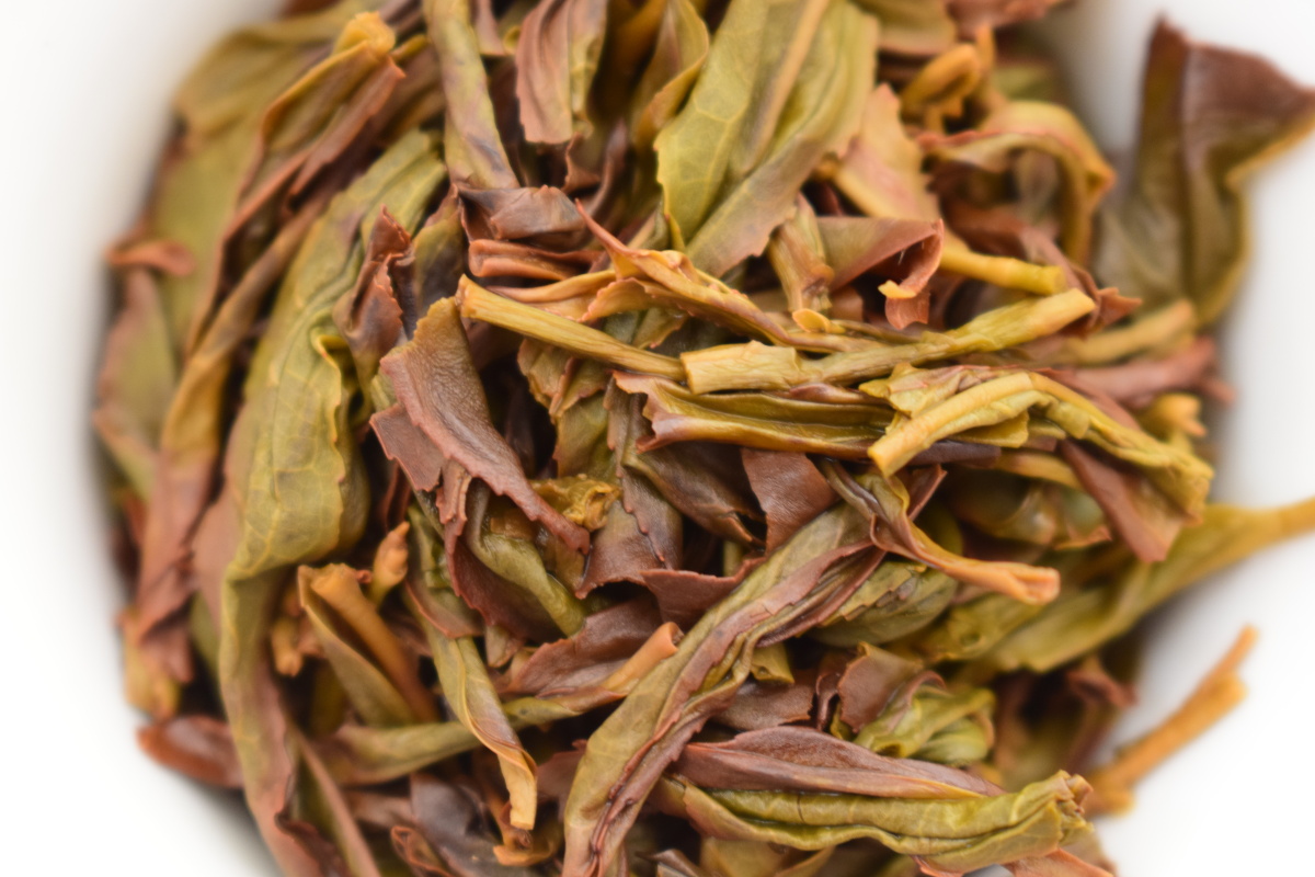 凤凰单枞玉兰香