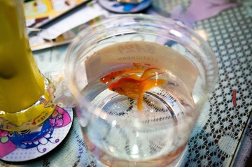 秋の祭りとバスローブ - 平成二十六年十一月十五日 · 廣州 (2) - 翔子