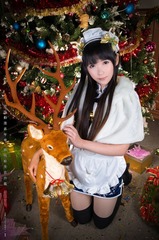 星夜动漫嘉年华 2014 - 旗袍娘：羊驼 [2014.12.20] (1)