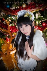 星夜动漫嘉年华 2014 - 旗袍娘：羊驼 [2014.12.20] (3)