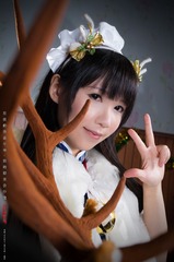 星夜动漫嘉年华 2014 - 旗袍娘：羊驼 [2014.12.20] (5)