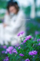 HEAVEN MEDITATION 命名初次发片 [2015.01.25] (9)