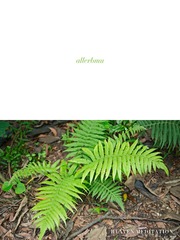 allerbmu [2017.05.21] (5)