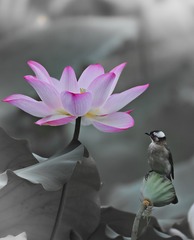 001