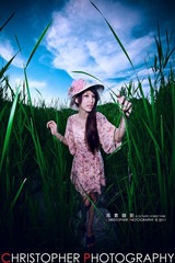 探秘