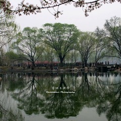 玉渊春梦---倒影