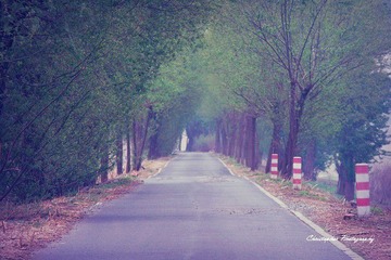 道路