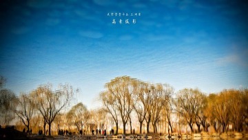 不清晰的春天