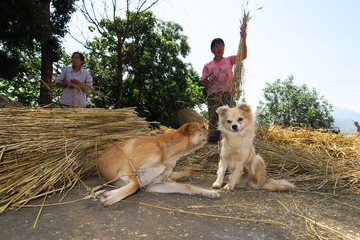 20140613104752
