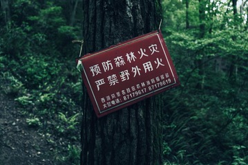 7B110C21-6FAD-4B8F-A149-79CB5C6899FA/L0/001