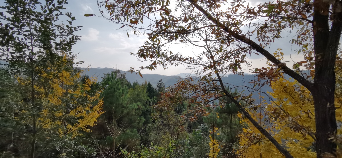 藏在山卡卡里的一座寺庙:通江县洪口镇古宁寺. - 老马儿2020 - 图虫