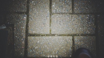 IMG_4217 