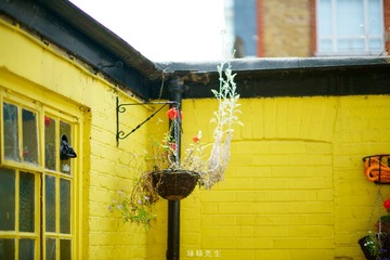 _DSC1209 