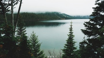 IMG_0501 