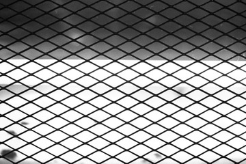 _DSC3389