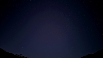 1000025365