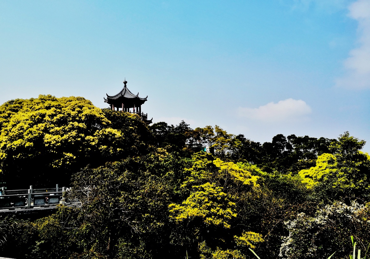登梧桐山看翠山美景
