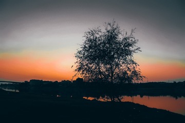 04CAD7D2-711F-4A6F-AE14-E73F65847E9D/L0/001