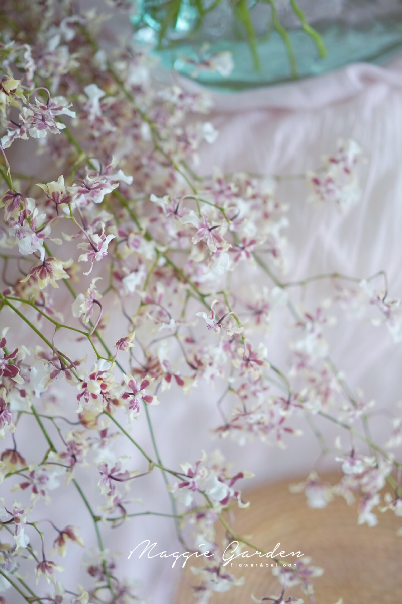 周一早上收到这么仙气的花,心情都变得美好了,秋风阵阵,屋子里有暗香