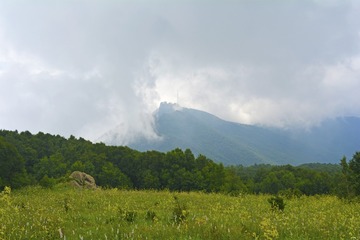 _DSC0991