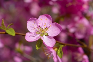 _DSC0180