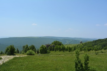 _DSC0703