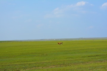 _DSC0933