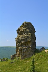 _DSC0503