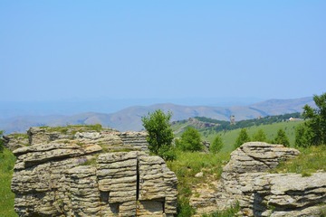 _DSC0698