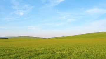 _DSC0129