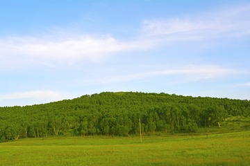 _DSC0100