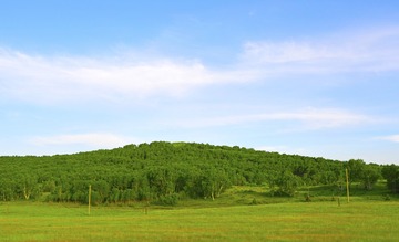 _DSC0098