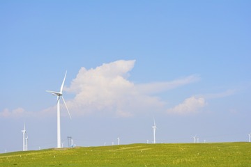 _DSC0146a