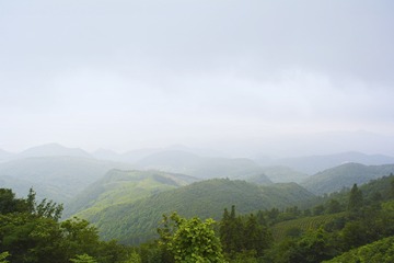 _DSC0347