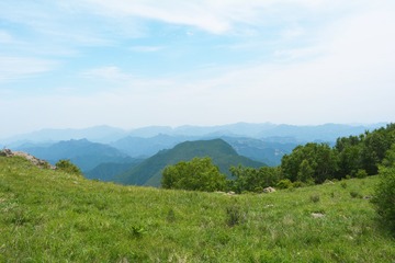 _DSC0436